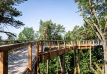 Klimawaldpfad im Tiergarten ist eröffnet