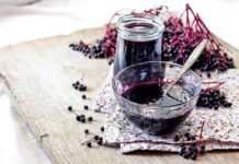 Ist schwarzer Holunder gesund?