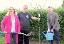 100 neue Obstbäume für Nürnberg