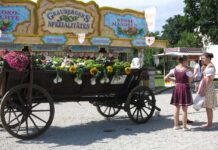 Veranstaltungen Kulturladen Schloss Almoshof Juli 2025