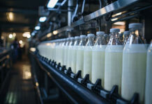 Wie wird Milch haltbar gemacht? Essen, Trinken und Genuss – hätten Sie’s gewusst?