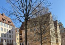 Pilotversuch zum Schutz vor Graffiti an Baumkübeln