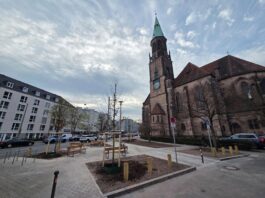 Nürnberg pflanzt weiter: Sör setzt 2026 rund 600 neue Bäume