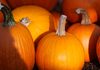 Halloween 2026: Einfache Ideen für gruselige Deko und besondere Stimmung