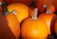 Halloween 2026: Einfache Ideen für gruselige Deko und besondere Stimmung