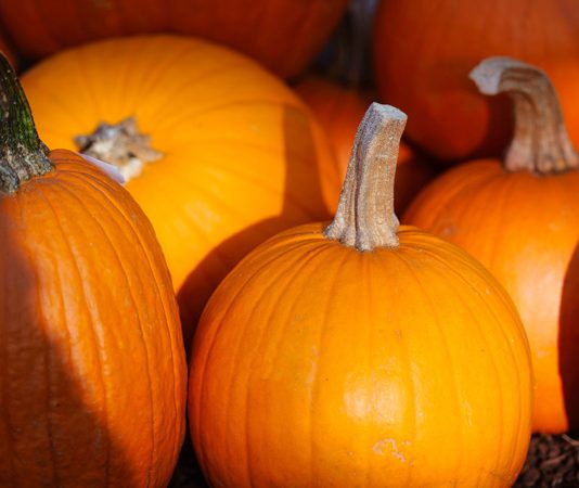 Halloween 2026: Einfache Ideen für gruselige Deko und besondere Stimmung