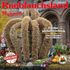 Jetzt neu: Ausgabe 314 des Knoblauchsland Magazins