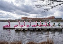 Ausstellung in Nürnberg zeigt den Wandel des ehemaligen Reichsparteitagsgeländes
